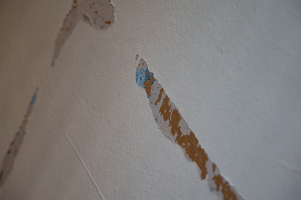 Storm Damage Repair service in Buckeye, AZ