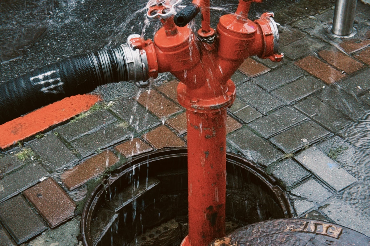 Flood Cleanup service in Buckeye, AZ